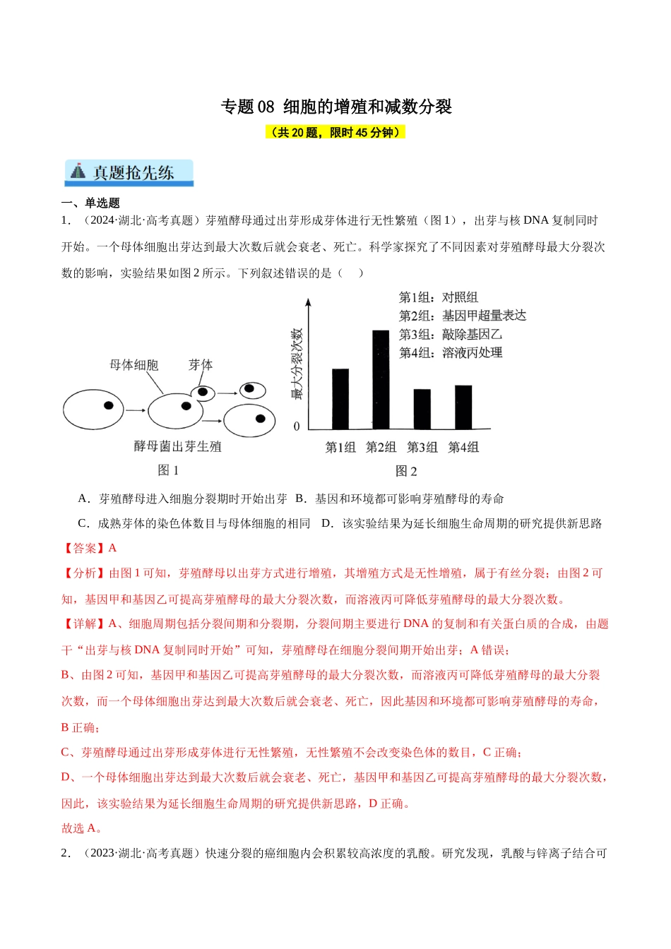 专题08 细胞的增殖和减数分裂（教师版）.docx_第1页