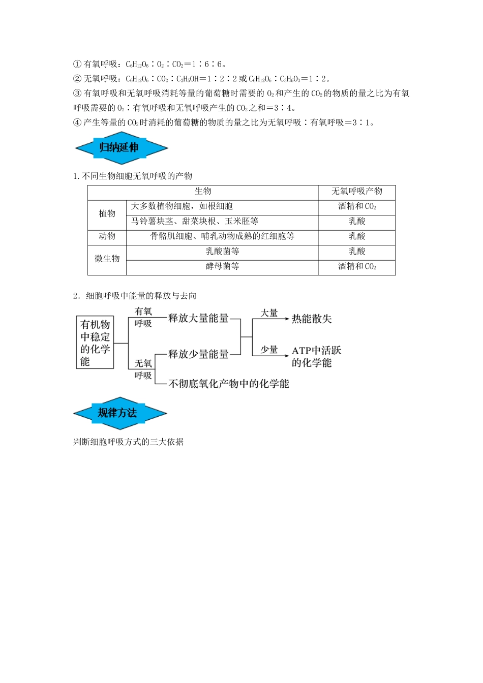 专题08 细胞呼吸(串讲)(解析版).docx_第3页