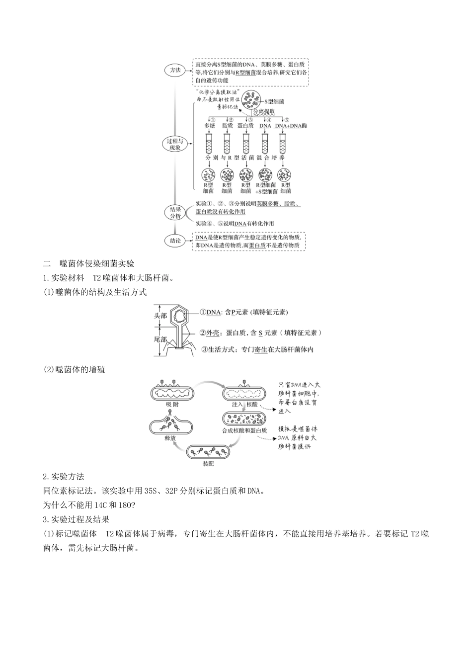 专题08 遗传的分子基础(教师版).docx_第2页