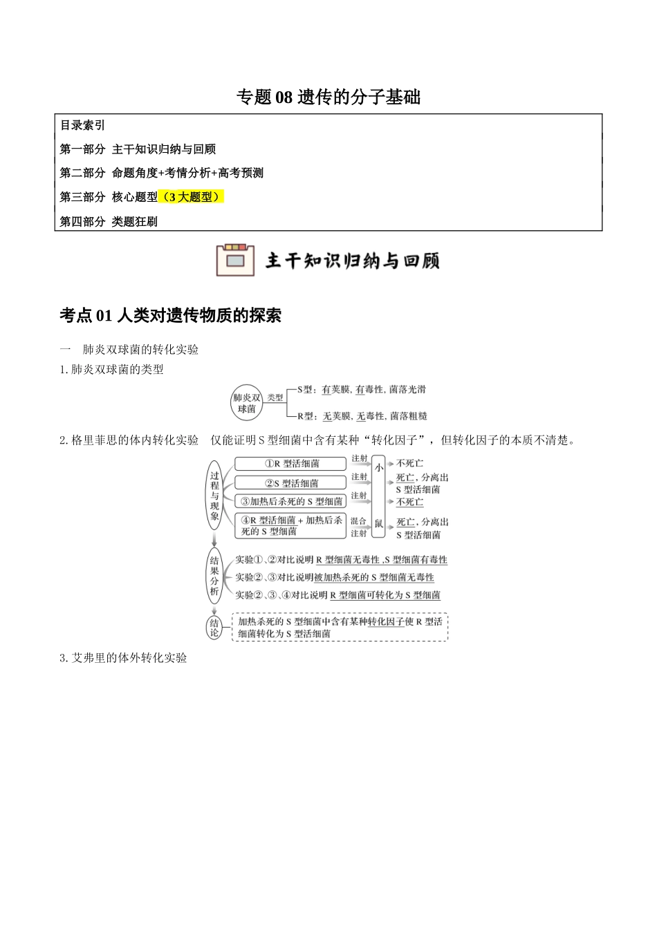 专题08 遗传的分子基础(学生版).docx_第1页