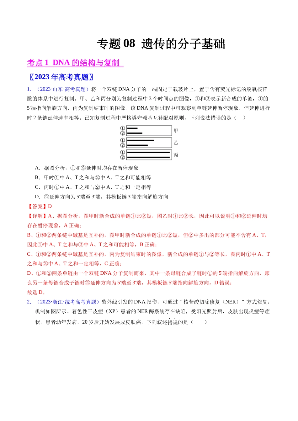 专题08 遗传的分子基础-五年（2019-2023）高考生物真题分项汇编（全国通用）（教师版）.docx_第1页