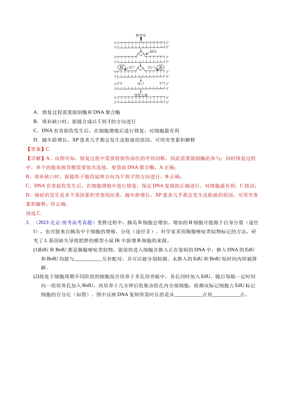 专题08 遗传的分子基础-五年（2019-2023）高考生物真题分项汇编（全国通用）（教师版）.docx_第2页