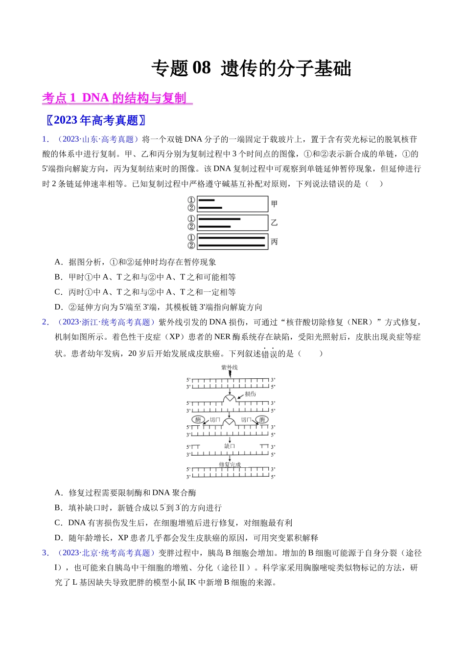 专题08 遗传的分子基础-五年（2019-2023）高考生物真题分项汇编（全国通用）（学生版）.docx_第1页