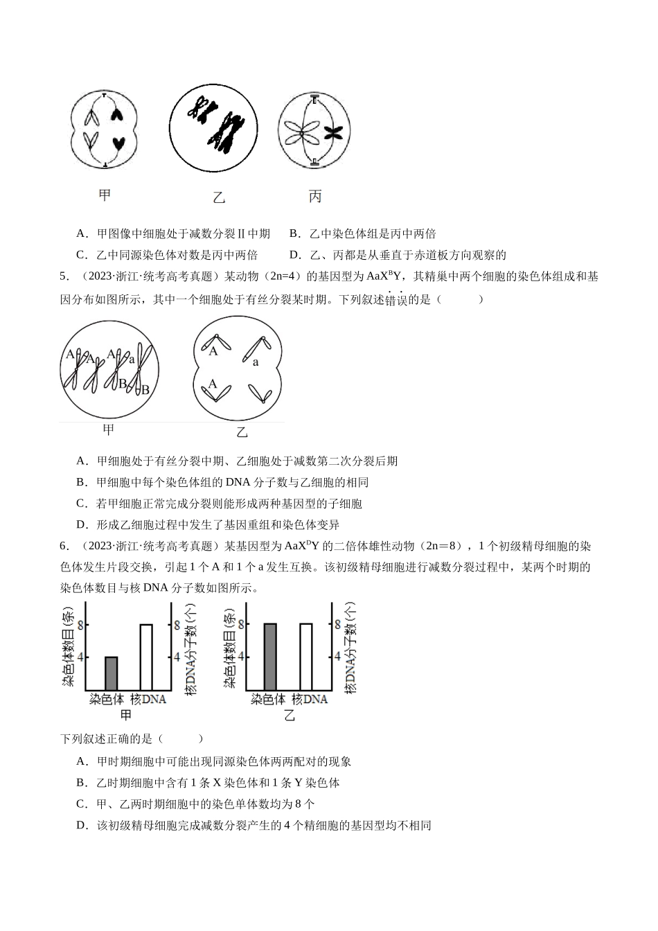专题08 有丝分裂和减数分裂（原卷版）.docx_第2页