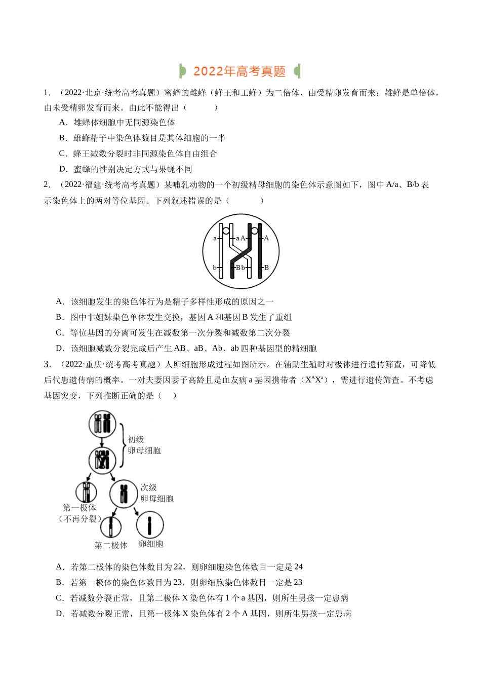 专题08 有丝分裂和减数分裂（原卷版）.docx_第3页
