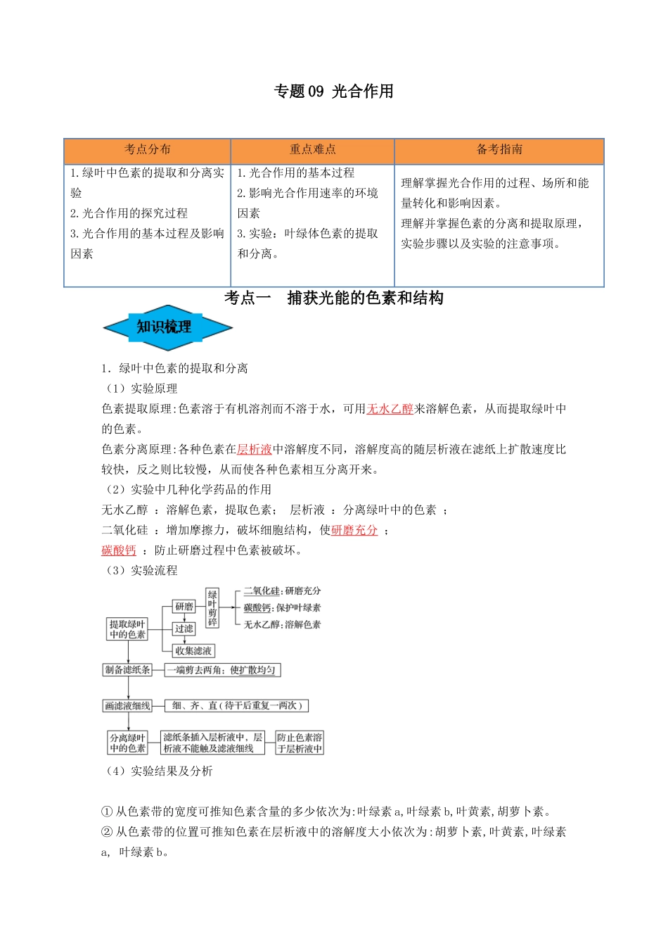 专题09 光合作用（串讲）（解析版）.docx_第1页
