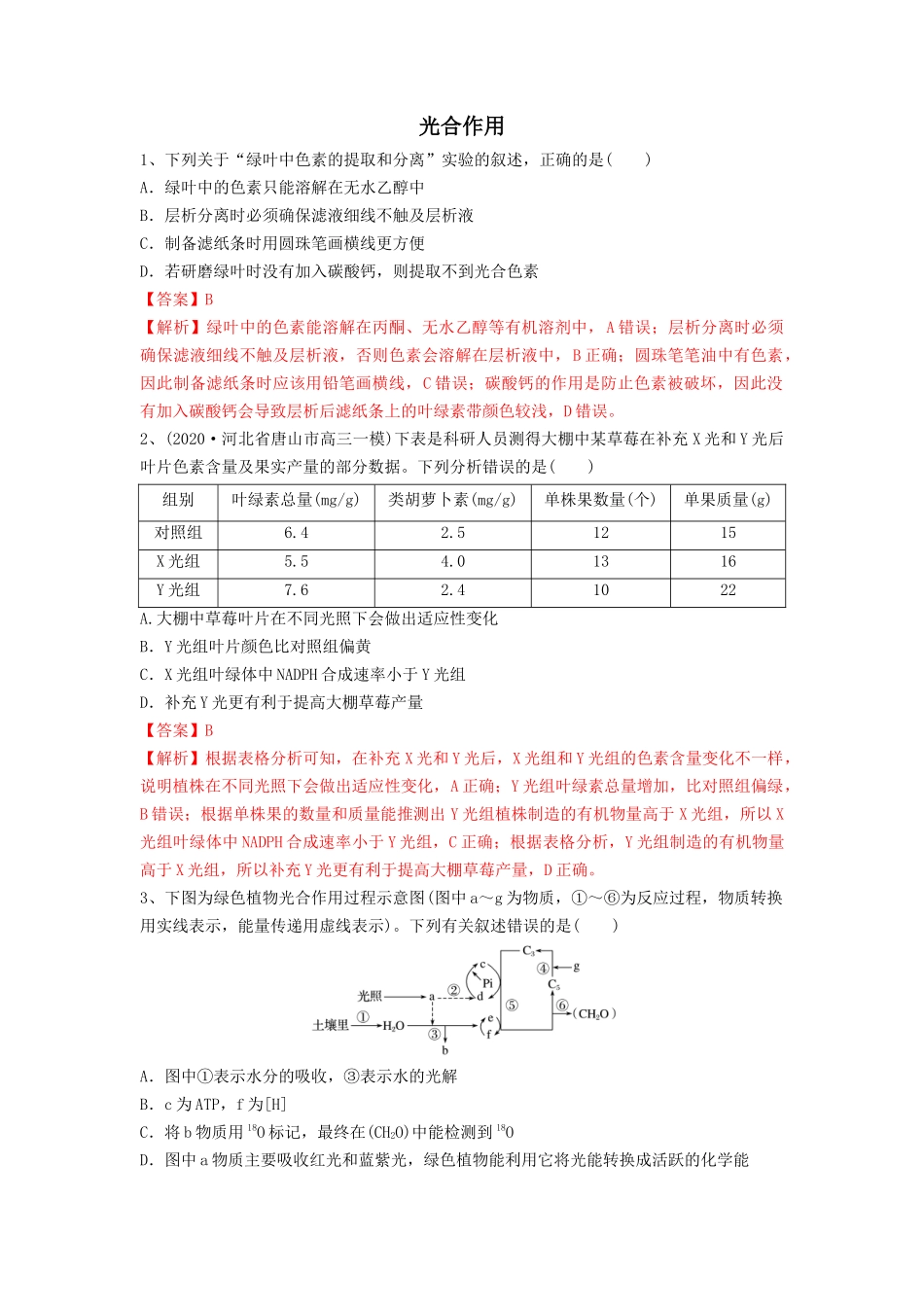 专题09 光合作用(精练)(解析版).docx_第1页