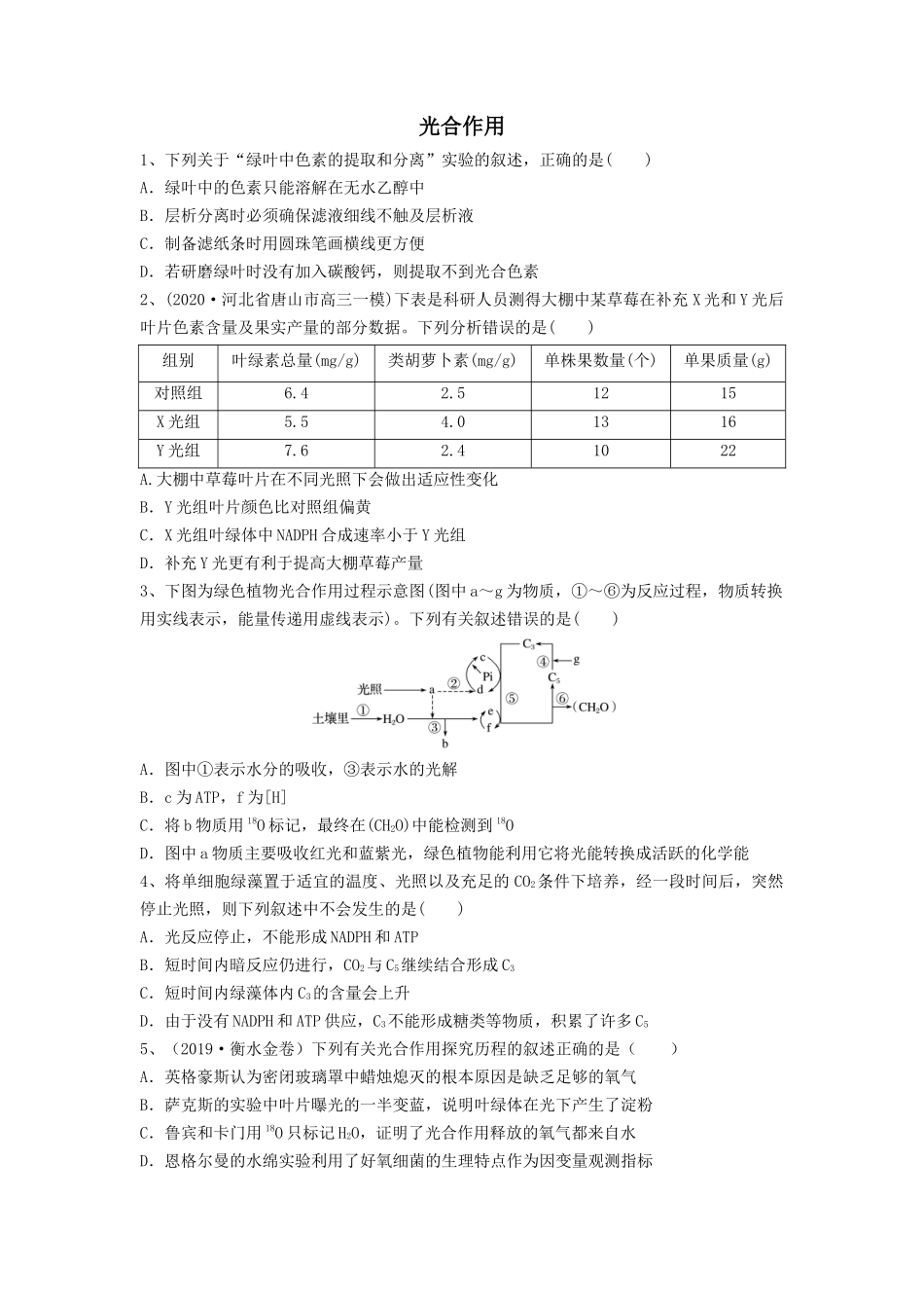 专题09 光合作用（精练）（原卷版）.docx_第1页