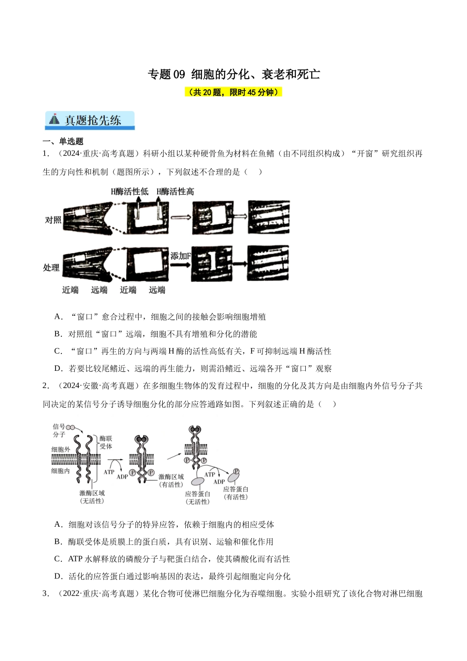专题09 细胞的分化、衰老和死亡(学生版).docx_第1页