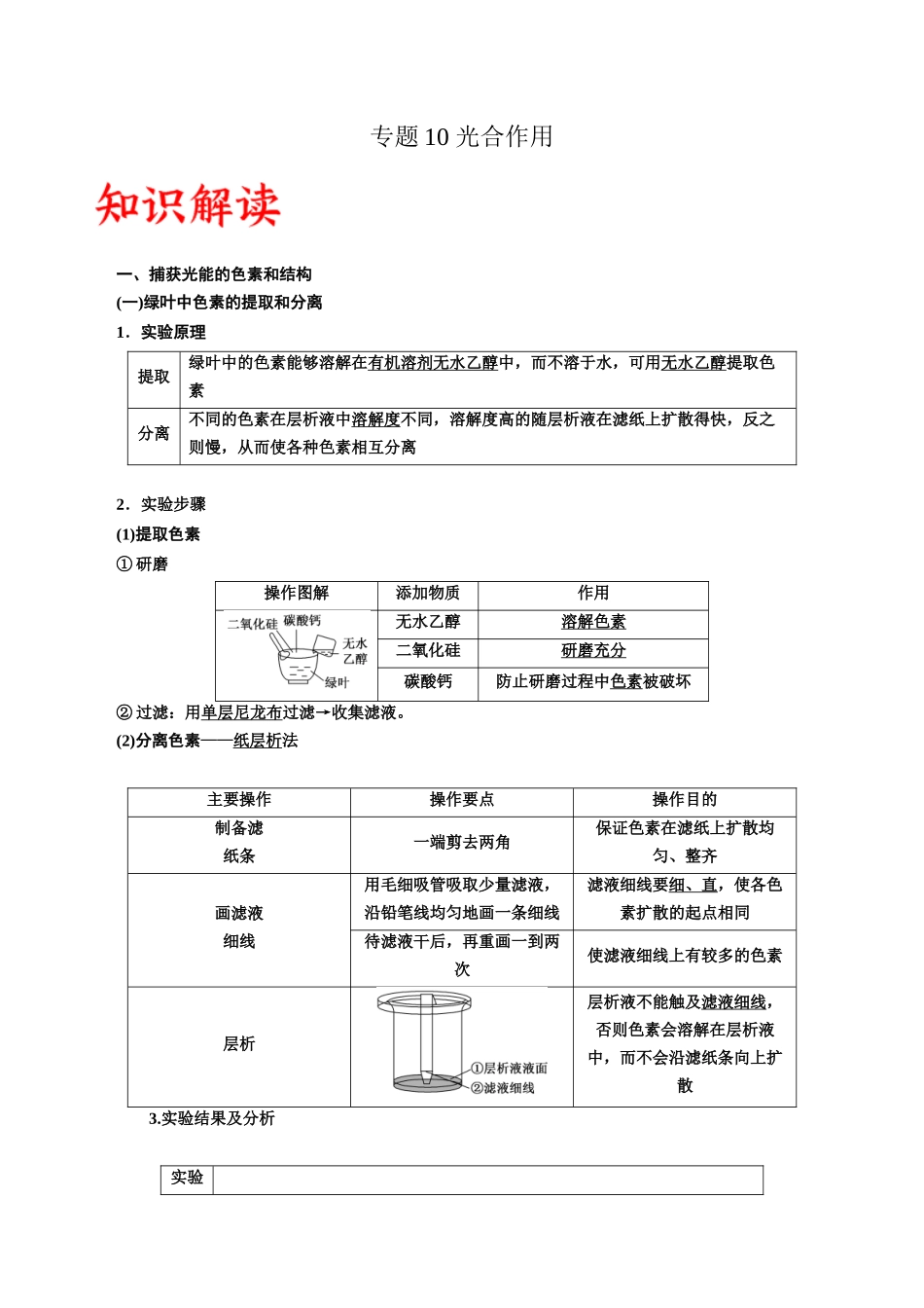 专题10 光合作用(原卷版) .docx_第1页