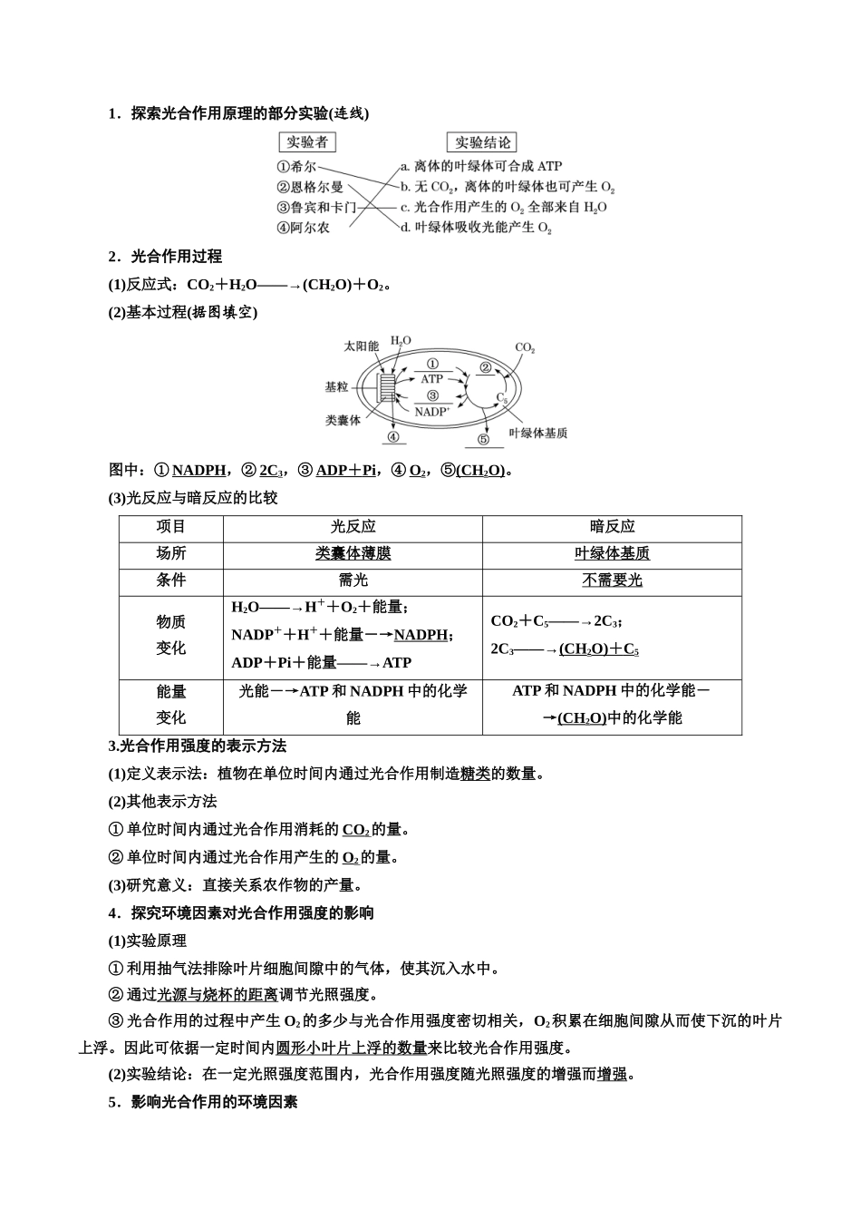 专题10 光合作用(原卷版) .docx_第3页