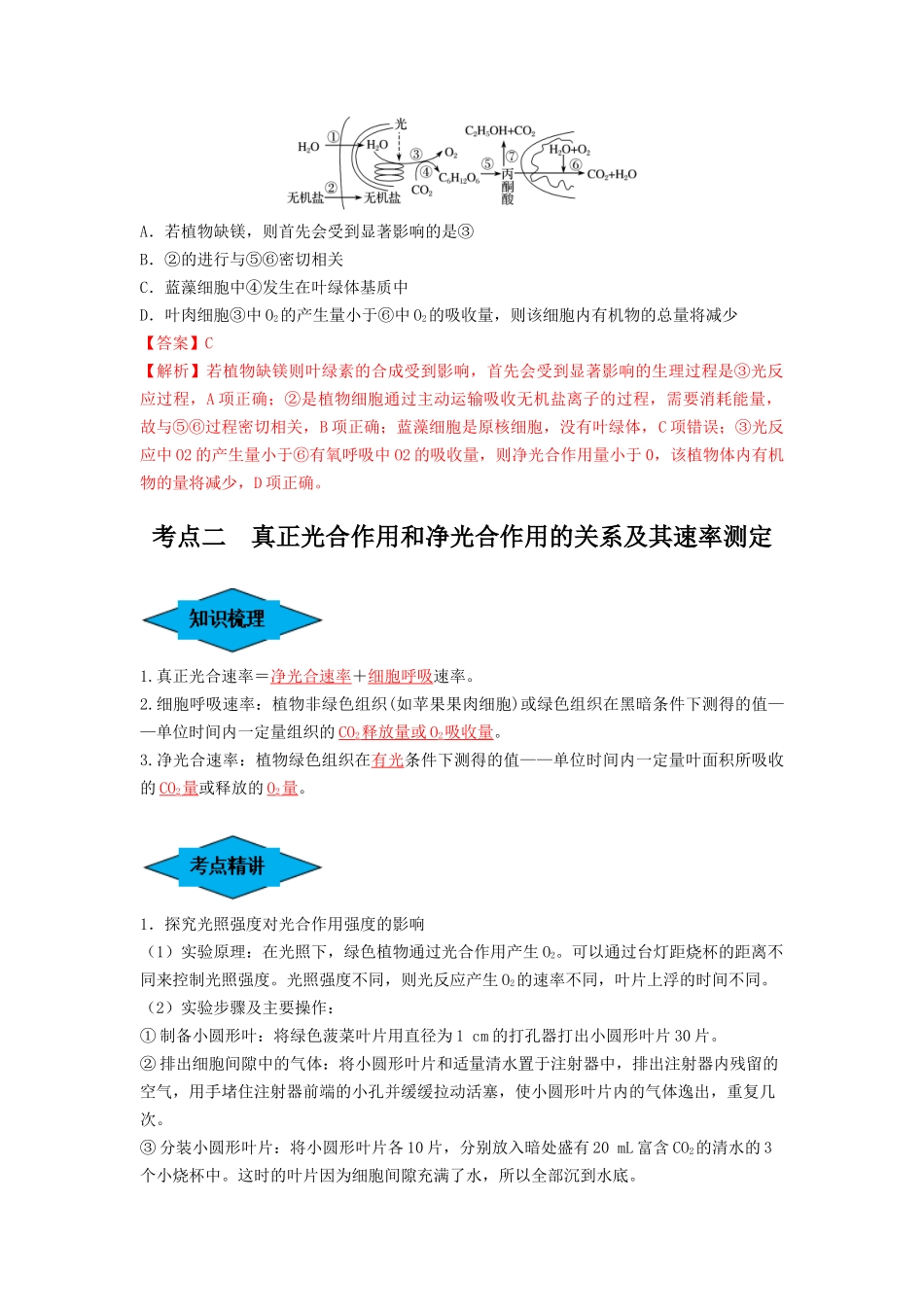专题10 光合作用与细胞呼吸的综合应用（串讲）（解析版）.docx_第3页