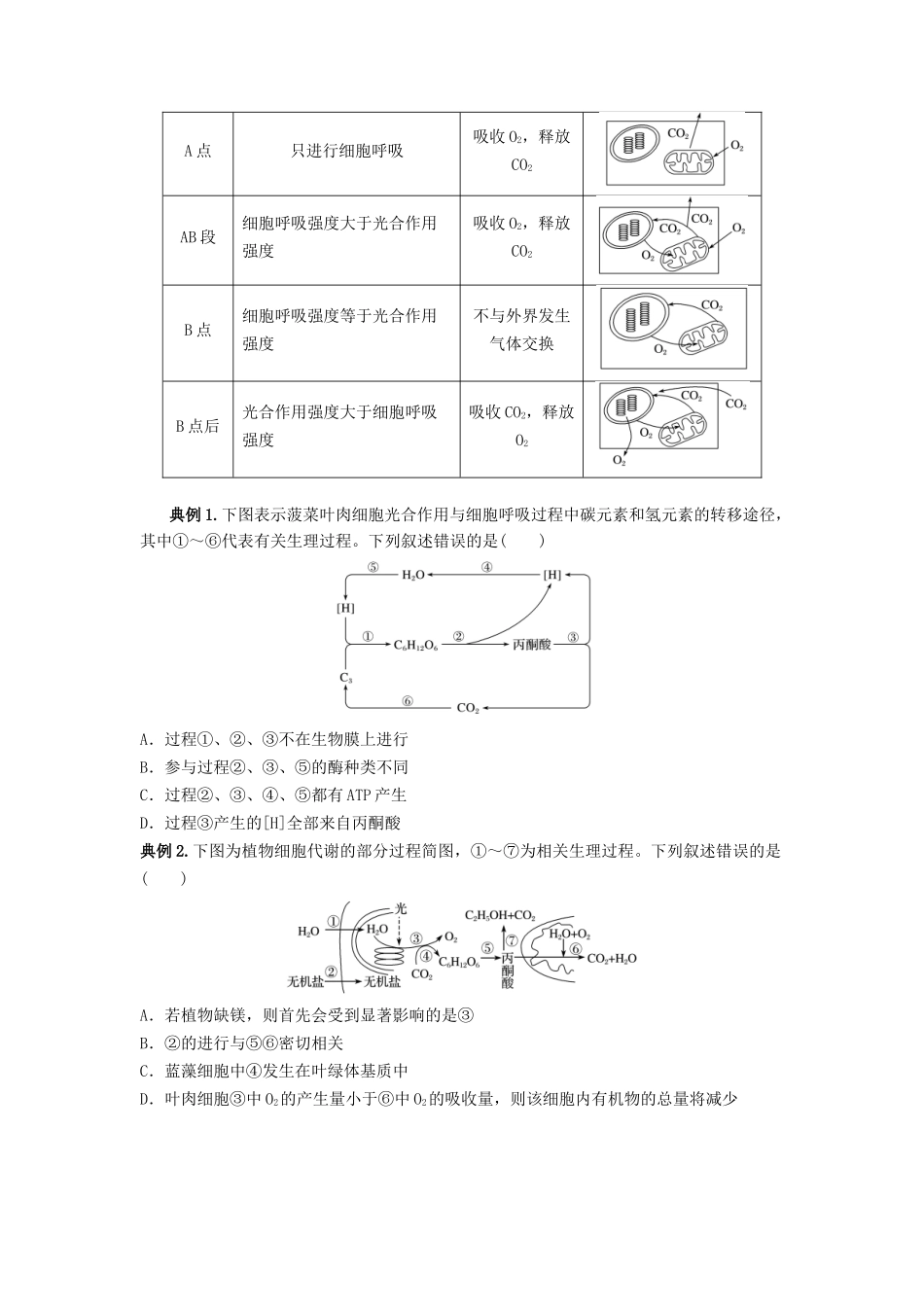 专题10 光合作用与细胞呼吸的综合应用（串讲）（原卷版）.docx_第2页