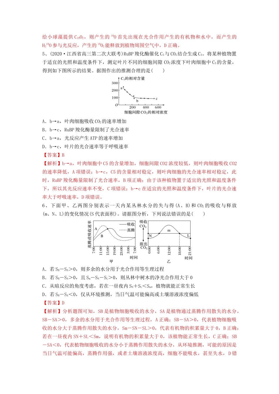 专题10 光合作用与细胞呼吸的综合应用（精练）（解析版）.docx_第3页
