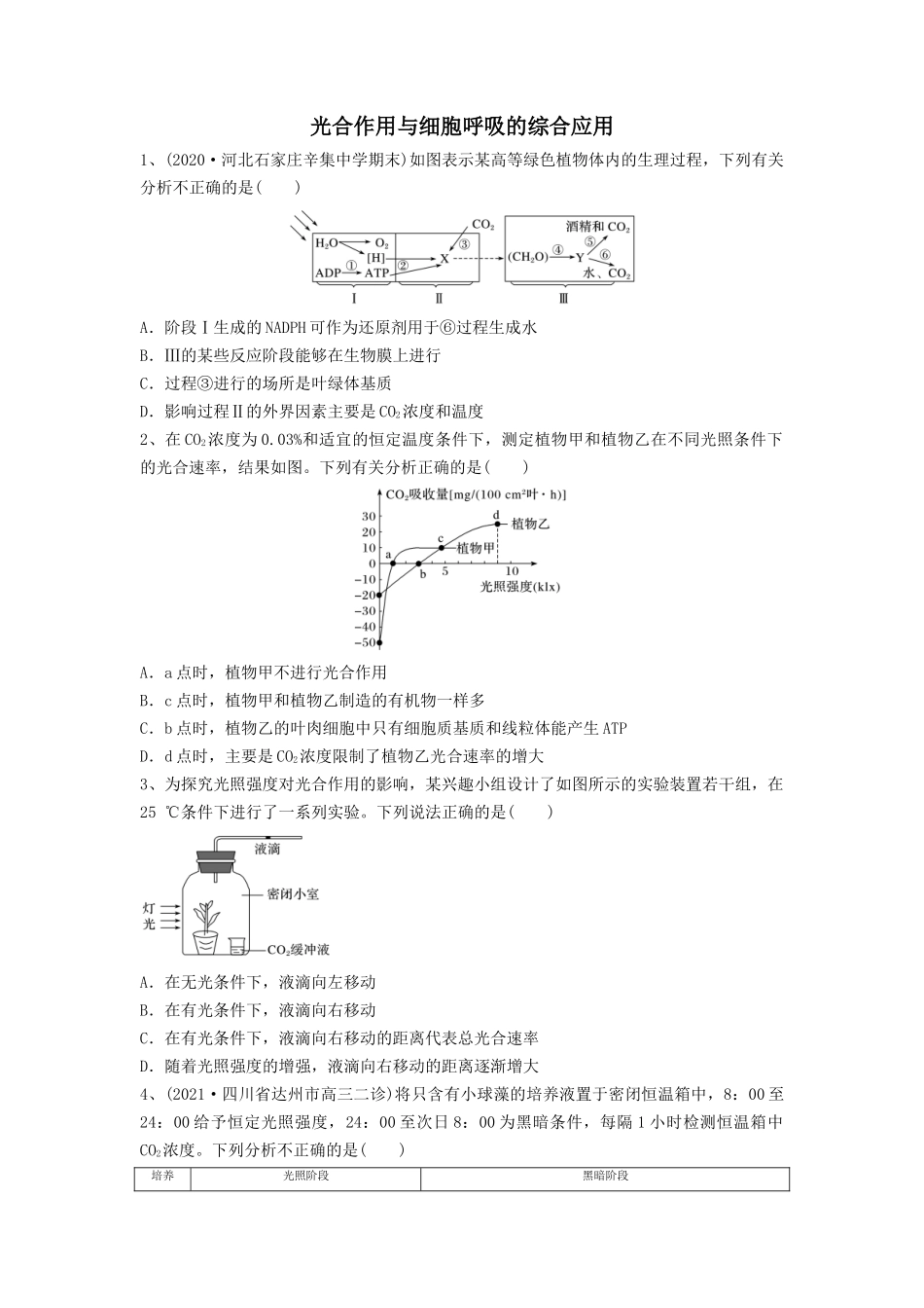 专题10 光合作用与细胞呼吸的综合应用（精练）（原卷版）.docx_第1页