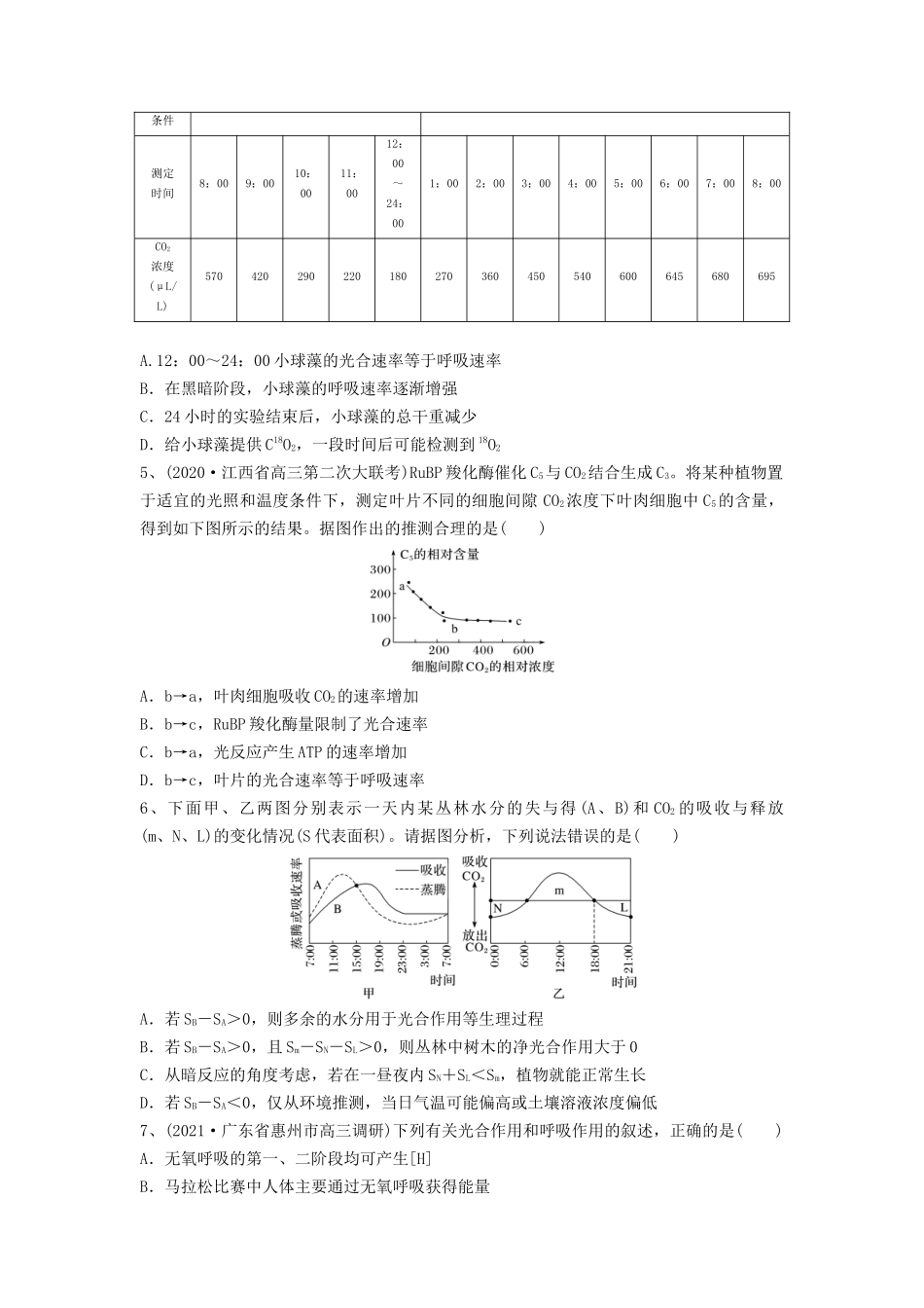 专题10 光合作用与细胞呼吸的综合应用（精练）（原卷版）.docx_第2页