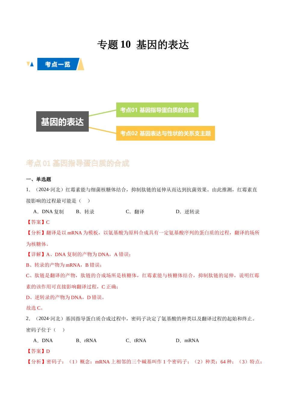 专题10 基因的表达（教师版）.docx_第1页