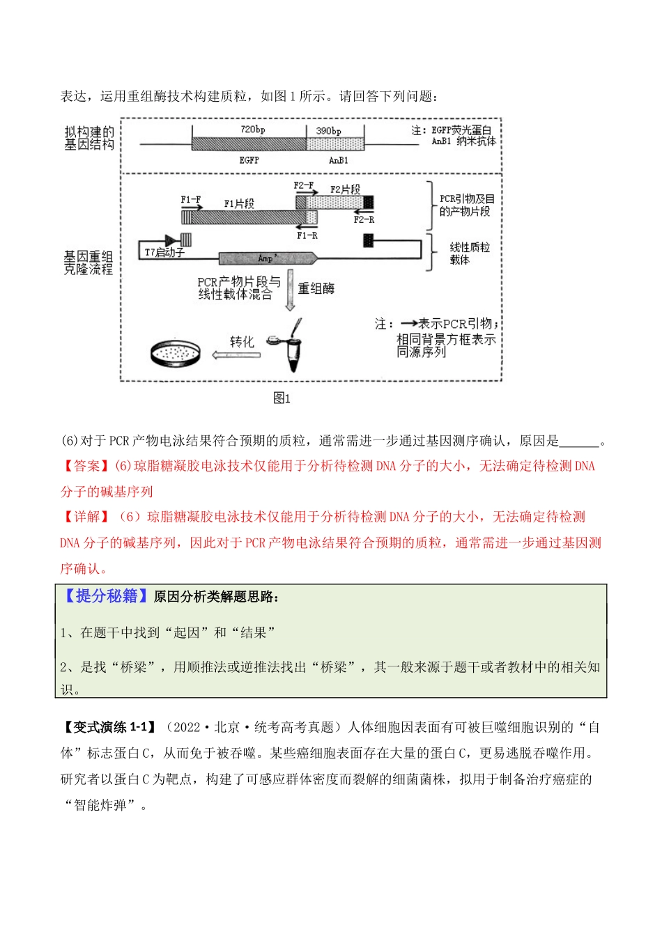 专题10 生物技术与工程（解析版）.docx_第2页