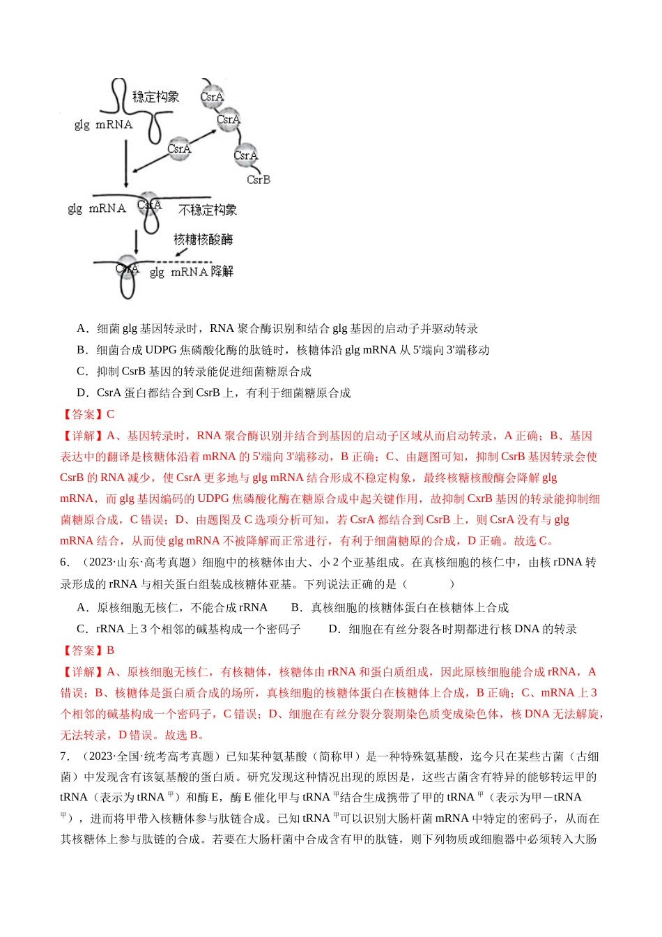 专题10 遗传的分子基础(解析版).docx_第3页