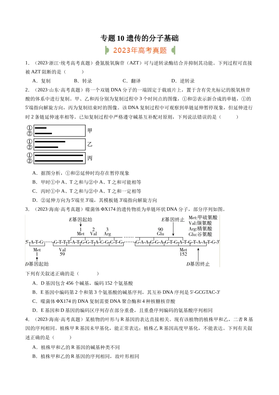 专题10 遗传的分子基础(原卷版).docx_第1页