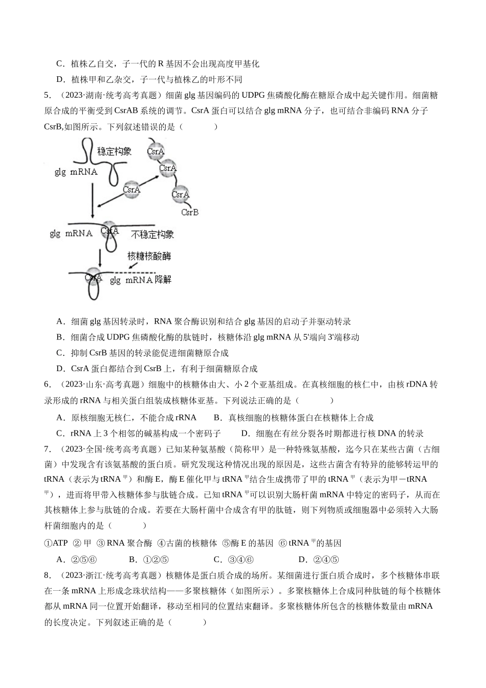 专题10 遗传的分子基础(原卷版).docx_第2页