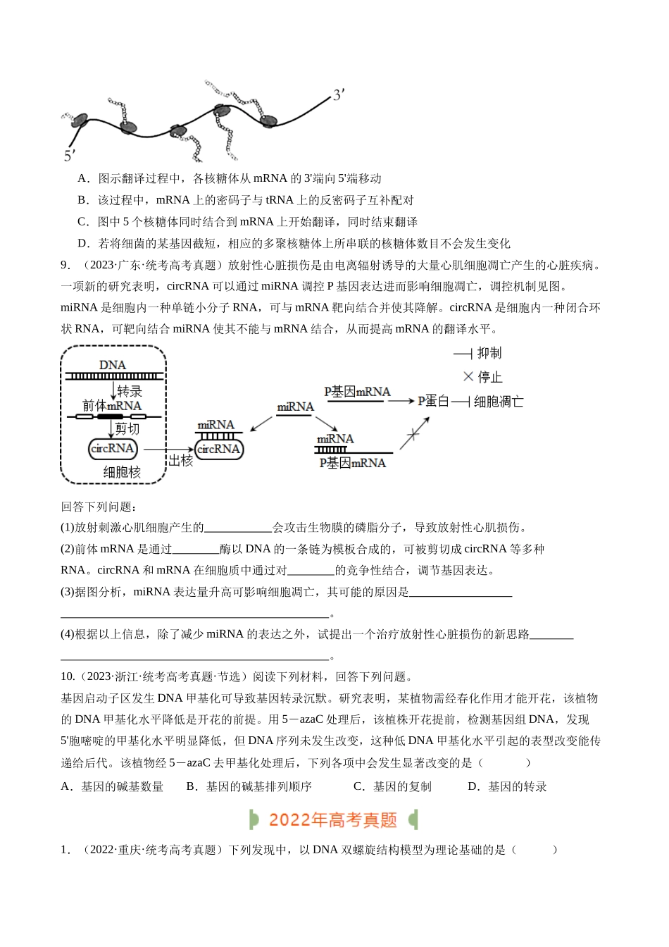 专题10 遗传的分子基础(原卷版).docx_第3页