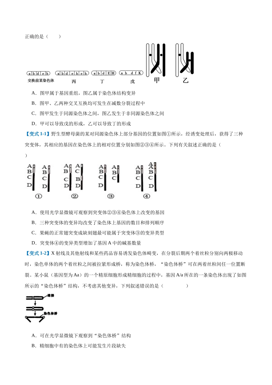 专题11 生物的变异和进化(7大题型)(学生版).docx_第3页
