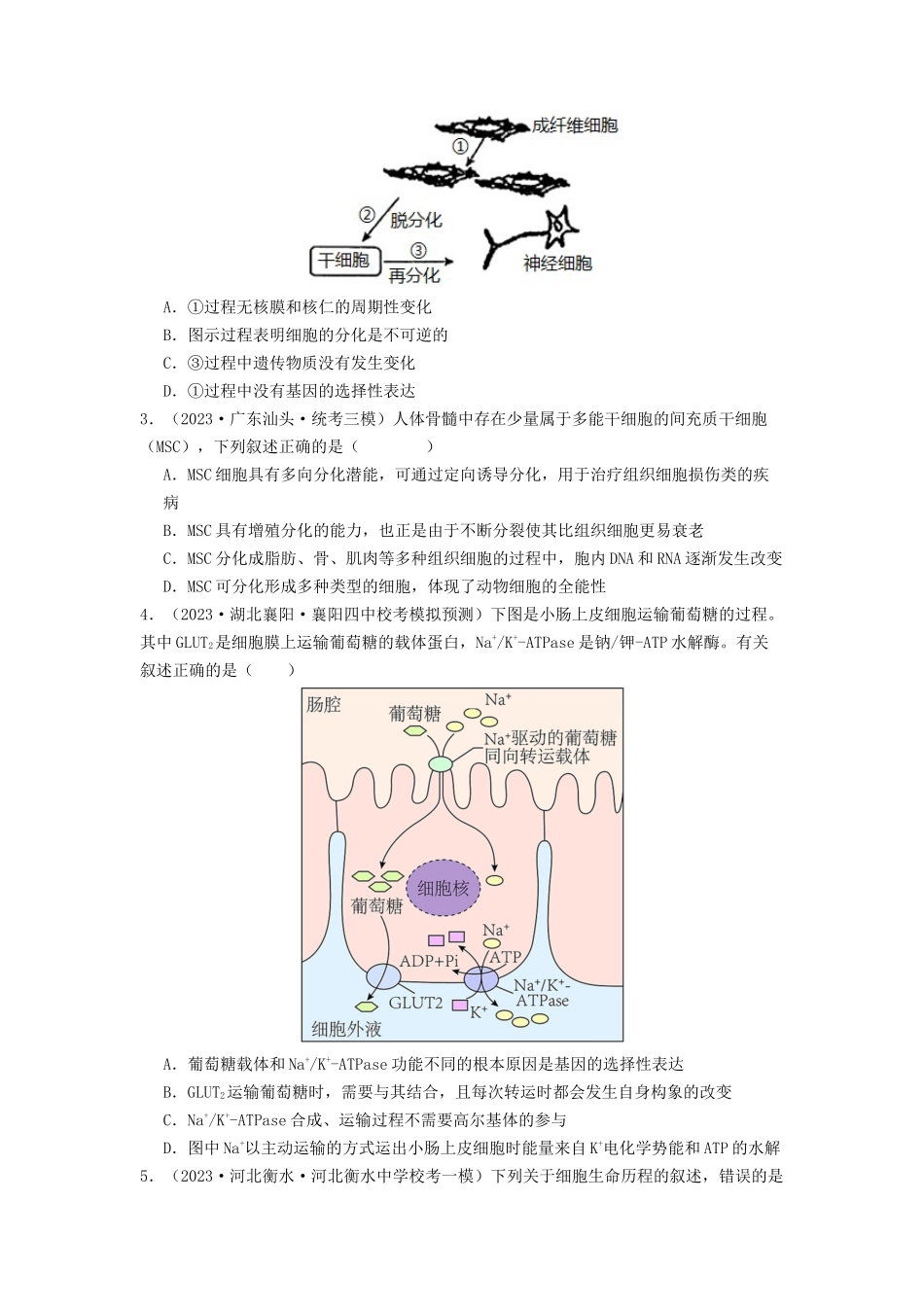 专题11 细胞的分化、衰老与死亡（原卷版）.docx_第3页