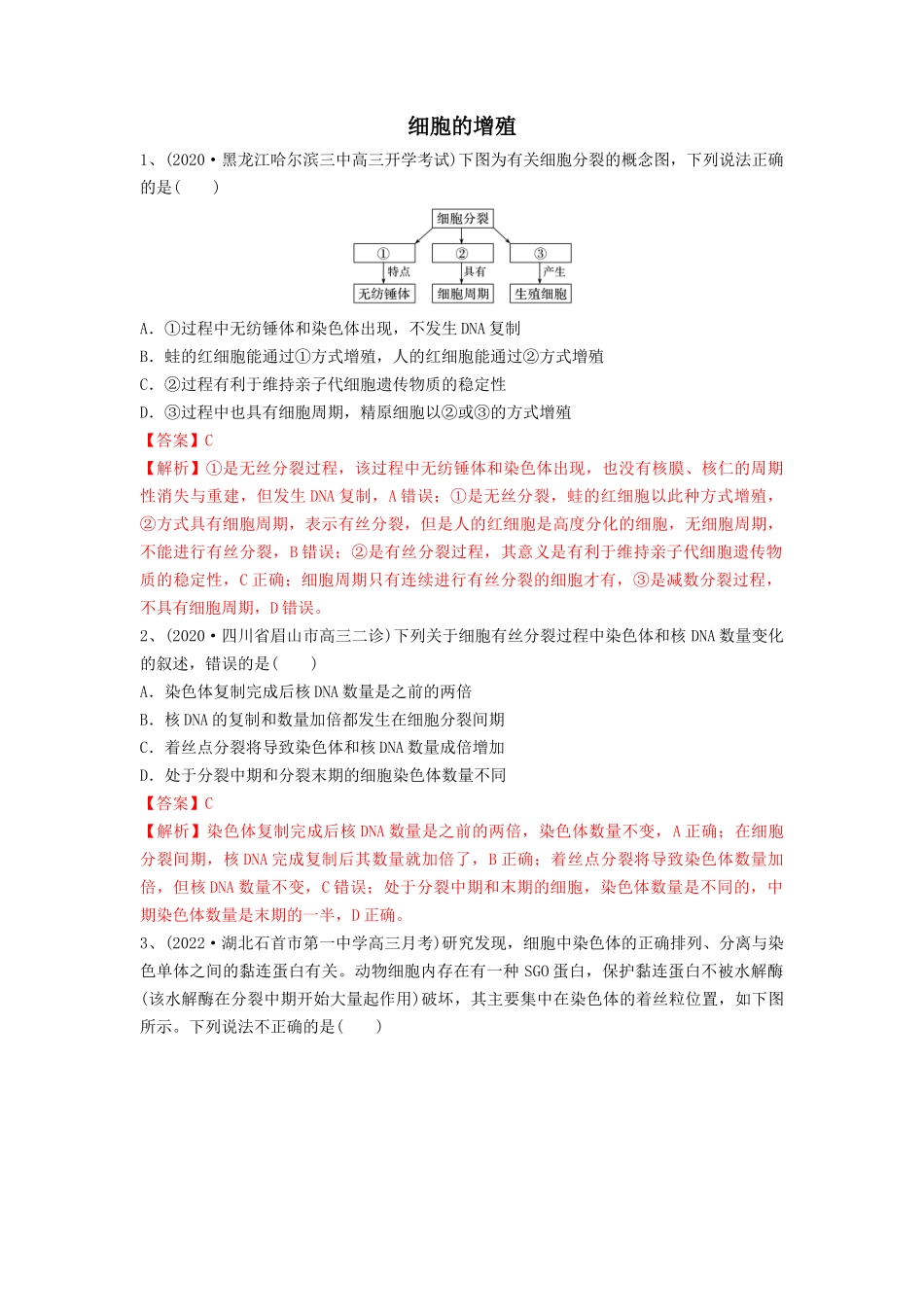 专题11 细胞的增殖（精练）（解析版）.docx_第1页