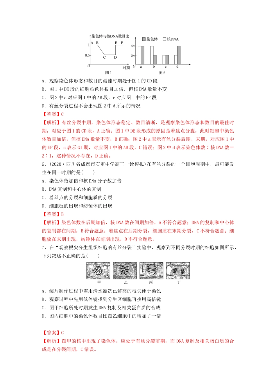 专题11 细胞的增殖（精练）（解析版）.docx_第3页