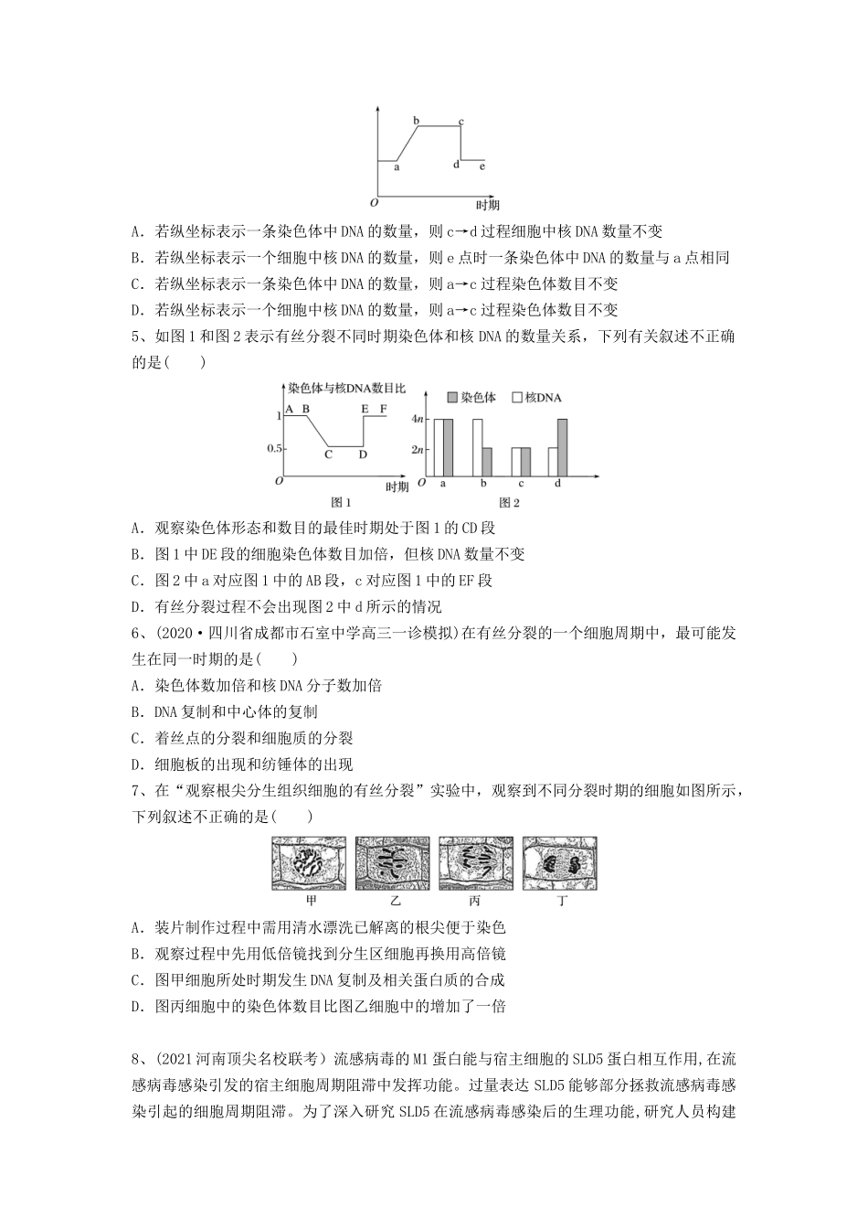 专题11 细胞的增殖（精练）（原卷版）.docx_第2页