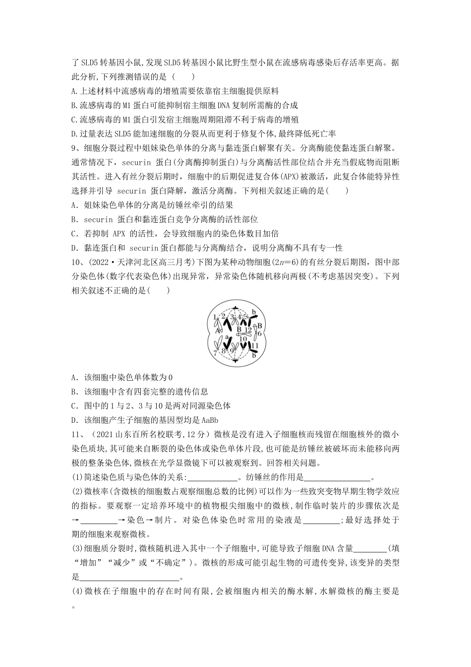 专题11 细胞的增殖（精练）（原卷版）.docx_第3页