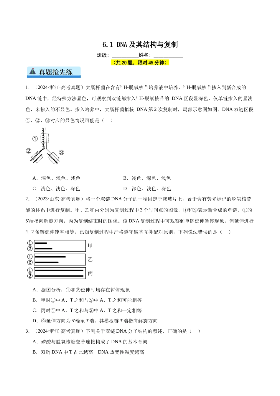 专题12 DNA及其结构与复制（学生版）.docx_第1页