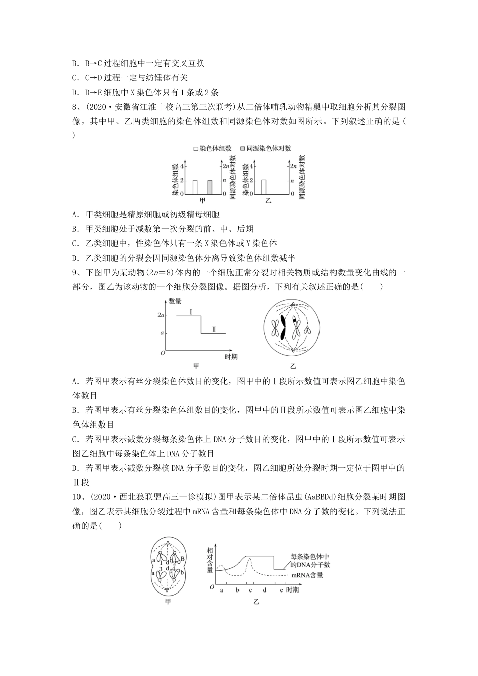 专题12 减数分裂和受精作用(精练)(原卷版).docx_第3页