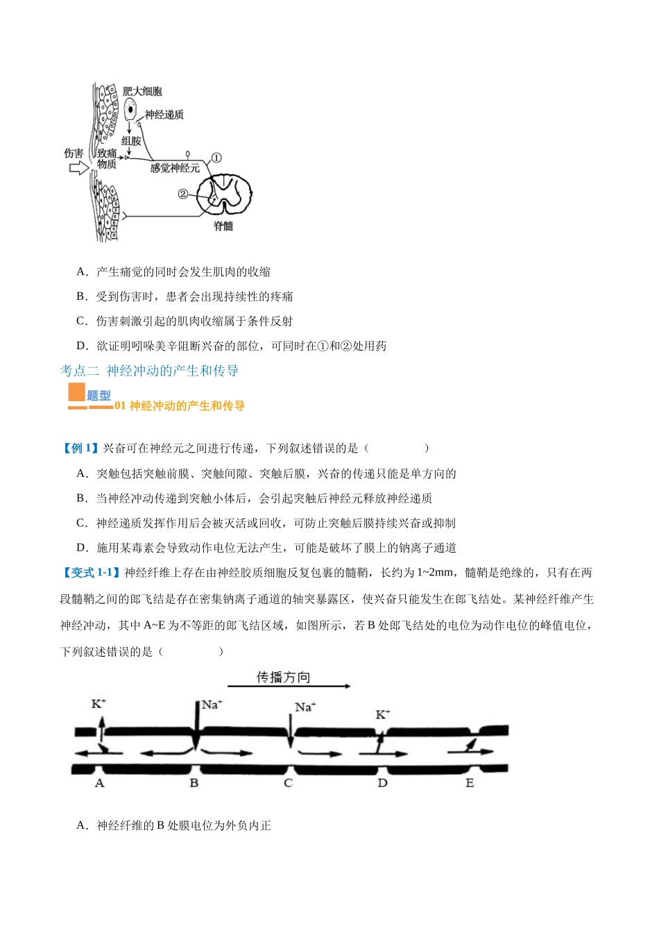 专题12 神经调节(6大题型)(学生版).docx_第3页