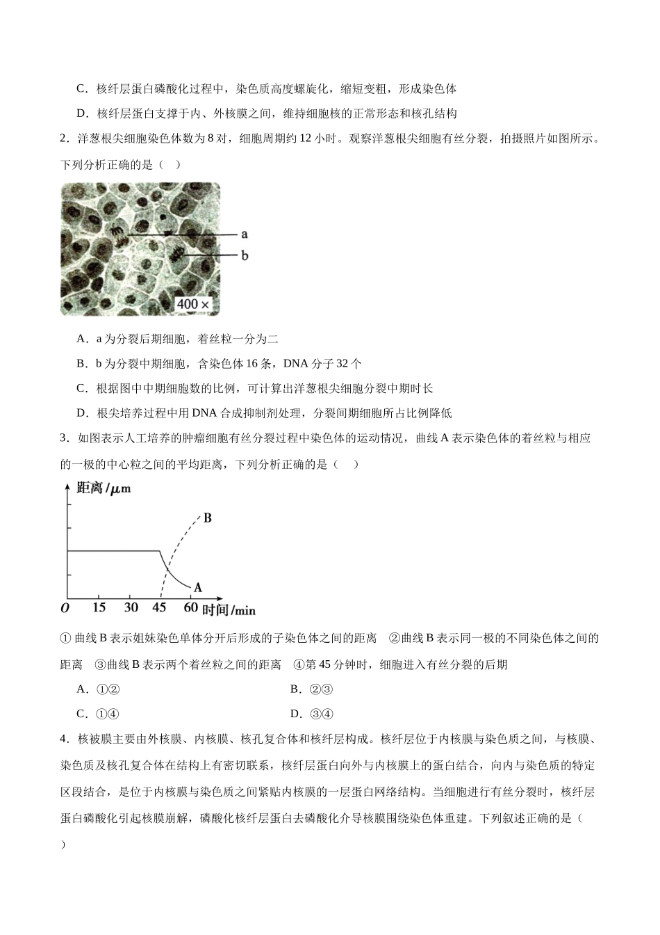专题12 细胞增殖(原卷版).docx_第3页