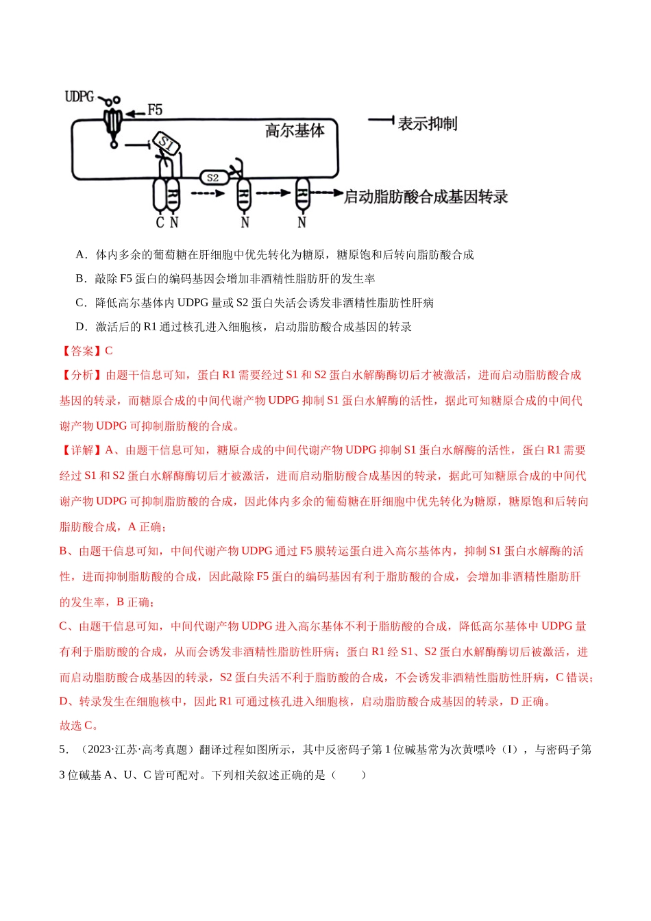 专题13 基因的表达及其与性状的关系（教师版）.docx_第3页