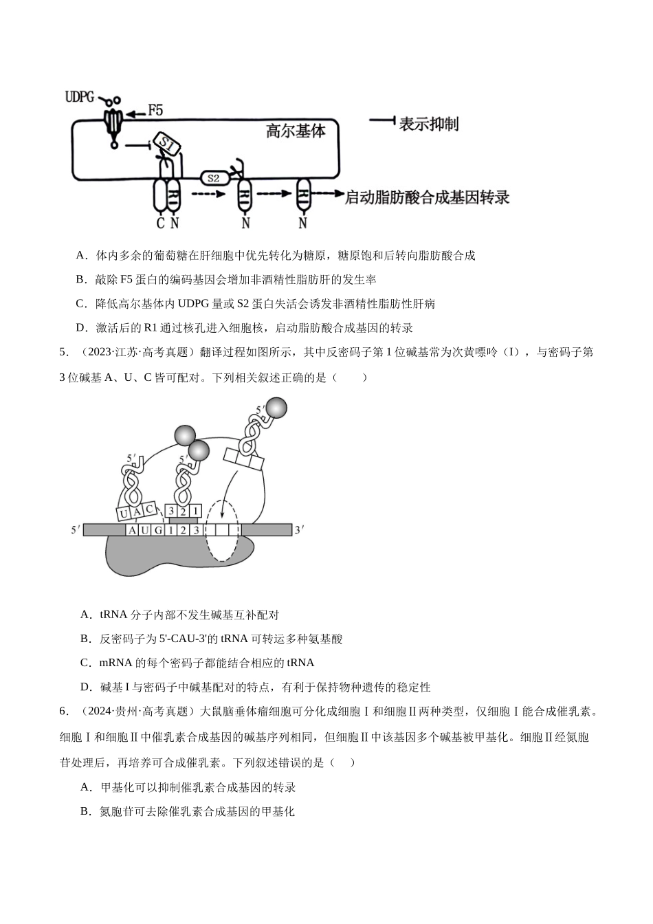 专题13 基因的表达及其与性状的关系（学生版）.docx_第2页