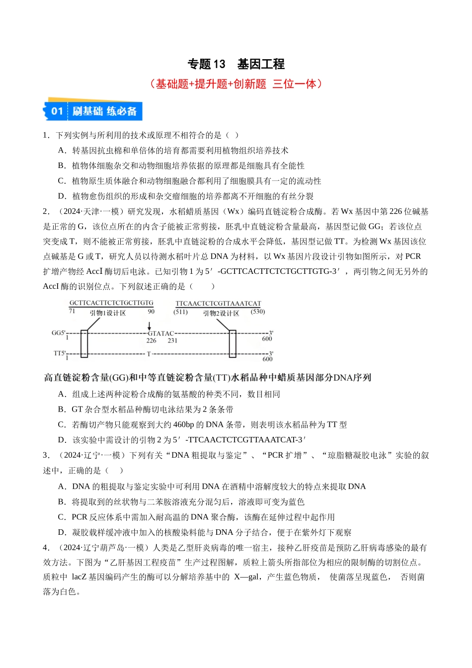 专题13 基因工程(原卷版).docx_第1页