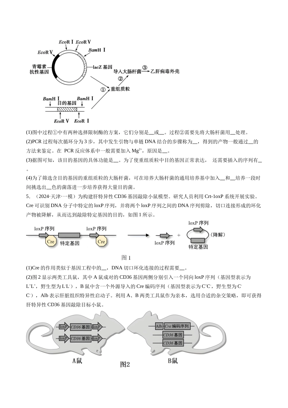专题13 基因工程(原卷版).docx_第2页