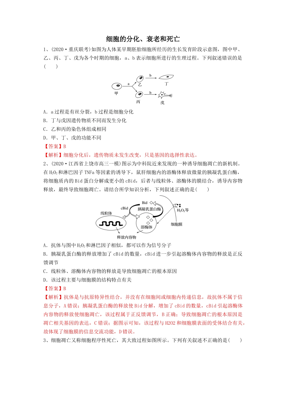 专题13 细胞的分化、衰老和死亡(精练)(解析版).docx_第1页