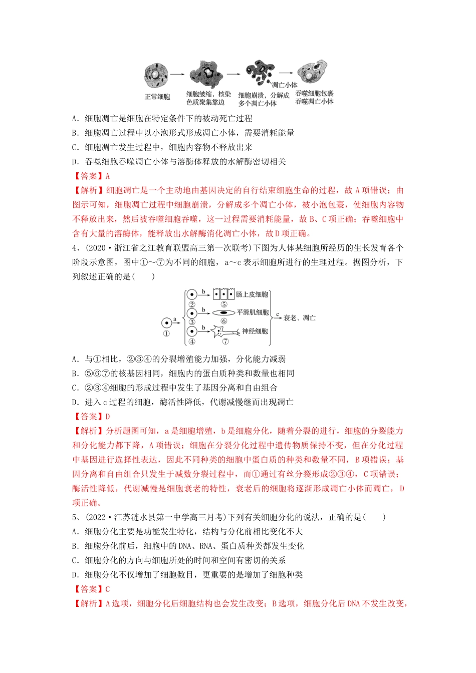 专题13 细胞的分化、衰老和死亡(精练)(解析版).docx_第2页
