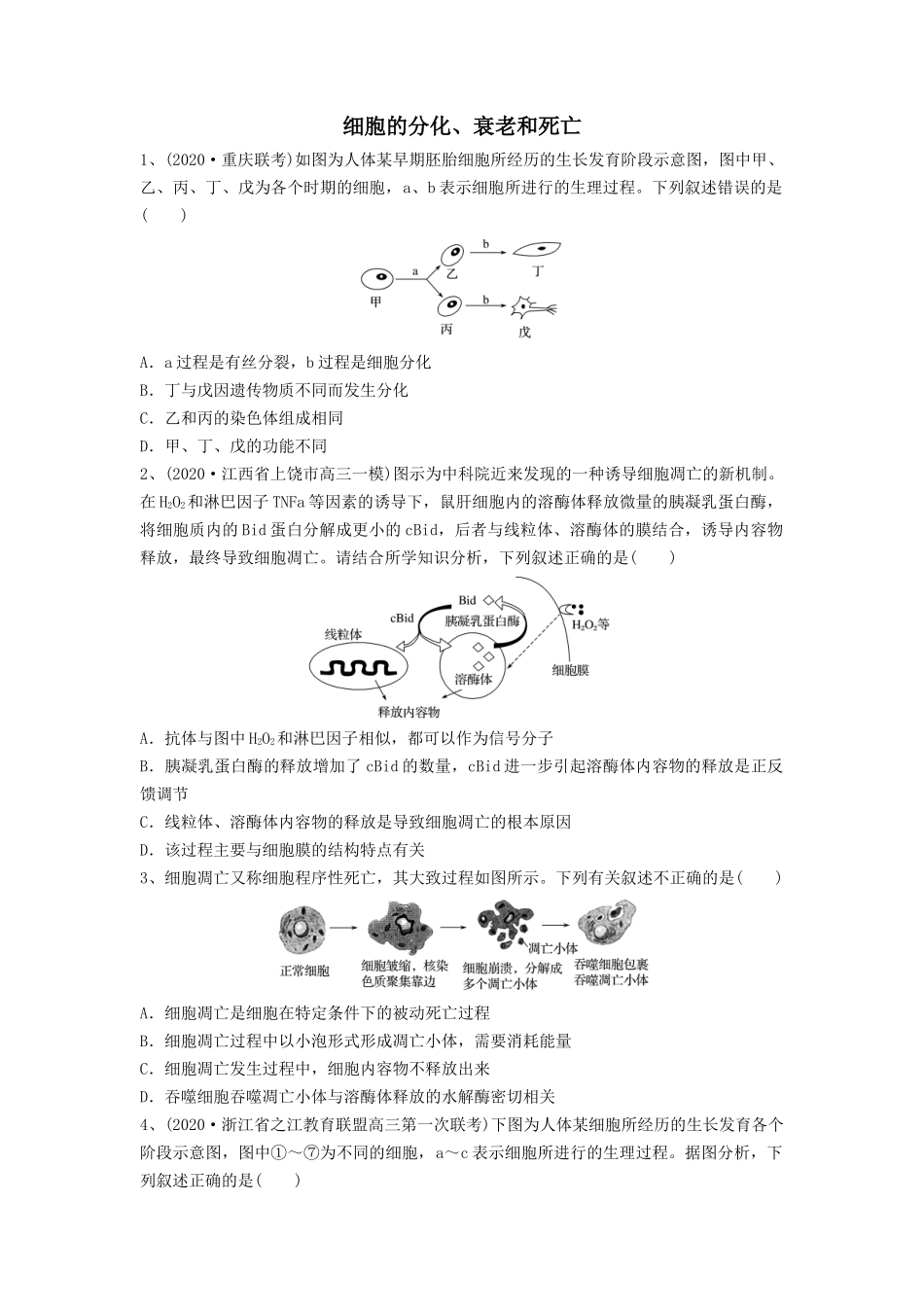 专题13 细胞的分化、衰老和死亡(精练)(原卷版).docx_第1页
