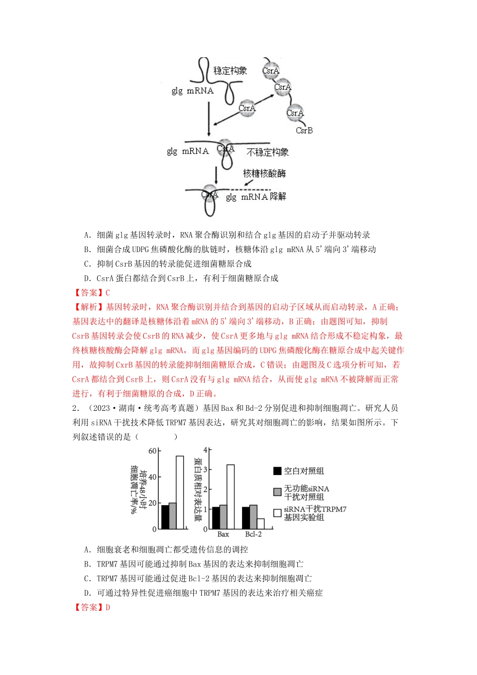 专题14 基因的表达(解析版).docx_第3页