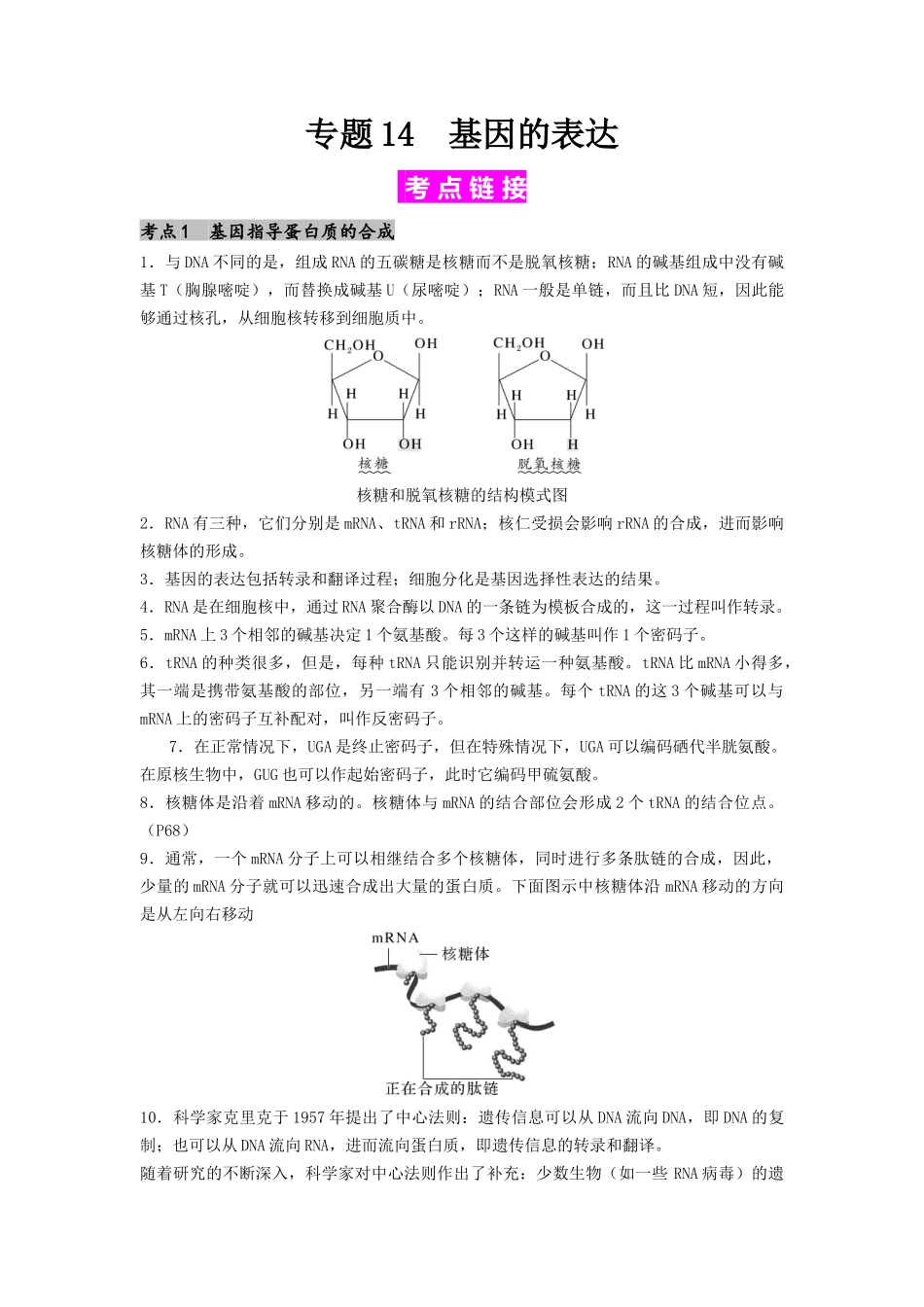 专题14 基因的表达(原卷版).docx_第1页