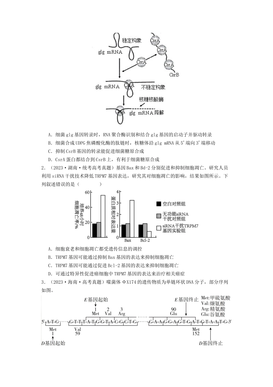 专题14 基因的表达(原卷版).docx_第3页