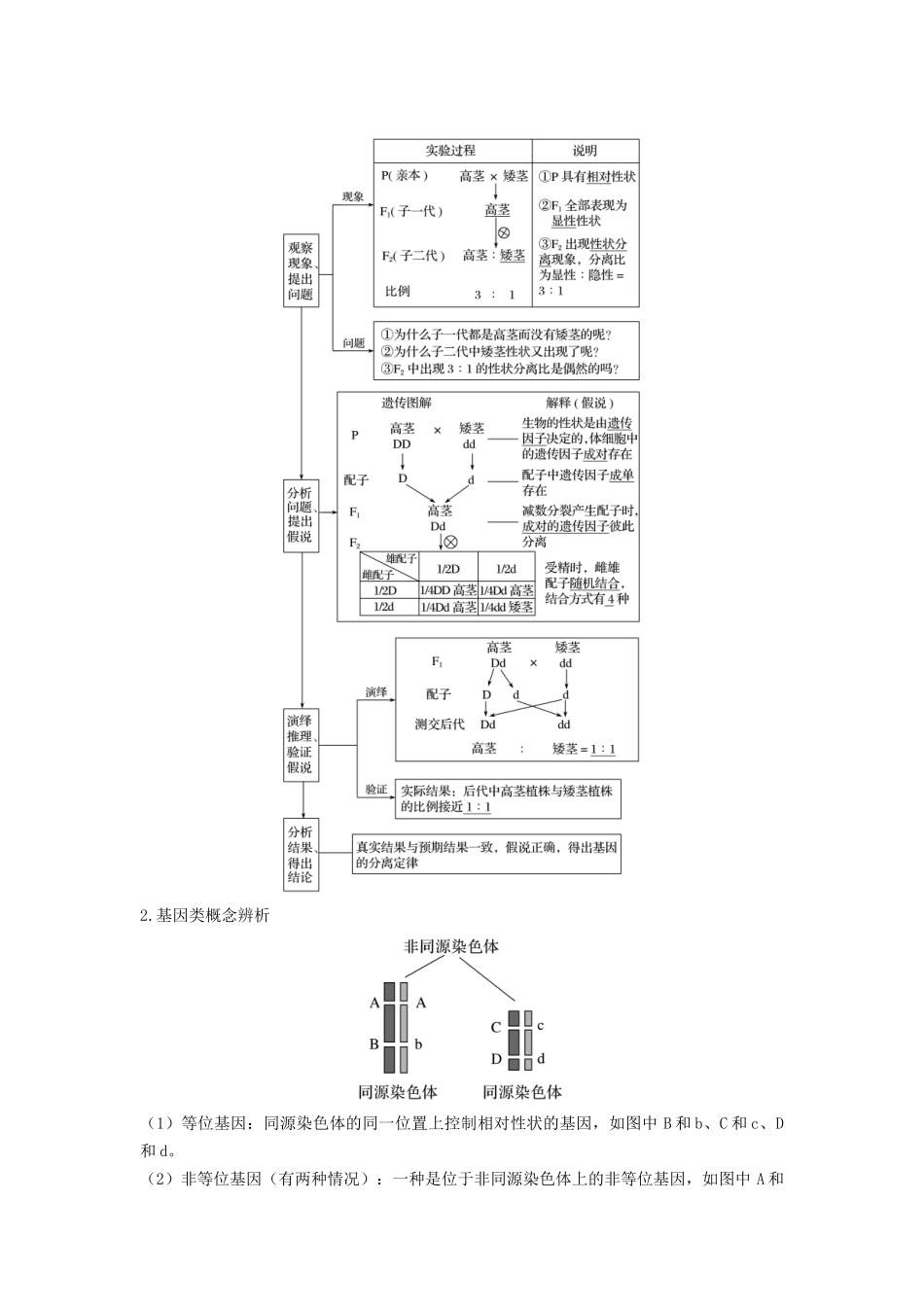专题14 基因的分离定律(串讲)(解析版).docx_第3页