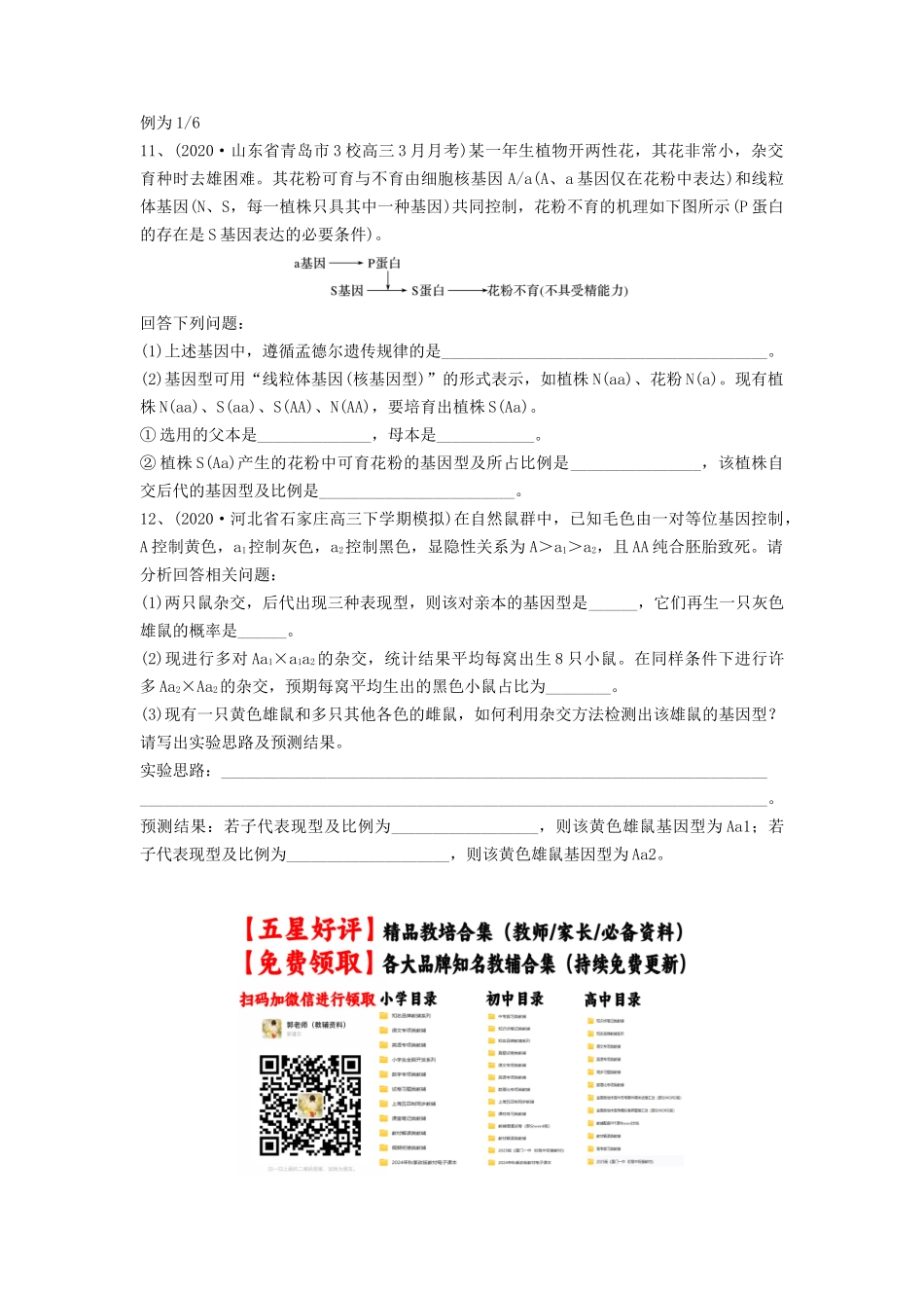 专题14 基因的分离定律（精练）（原卷版）.docx_第3页