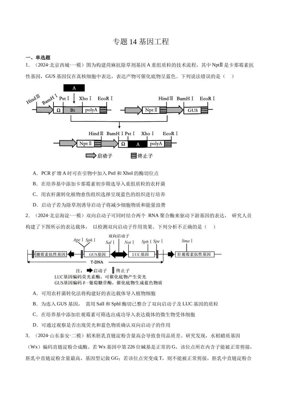 专题14 基因工程（原卷版）.docx_第1页