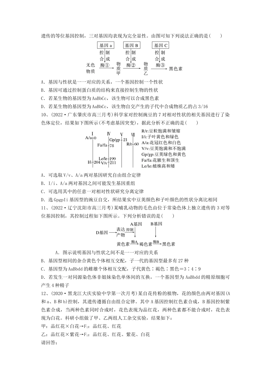 专题15 基因的自由组合定律（精练）（原卷版）.docx_第3页